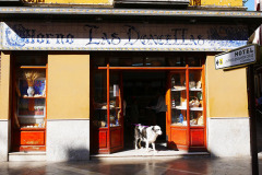 Dog comes out of a bakery